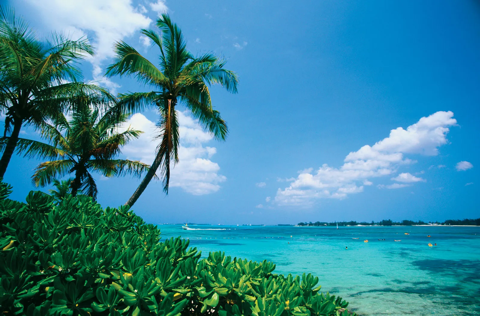 A cruise ship docked near the stunning beaches of the Bahamas